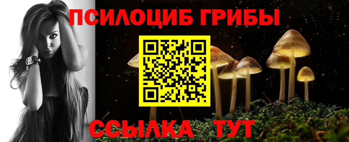 Псилоцибиновые грибы Psilocybine cubensis  Вход с VPN  Нягань 